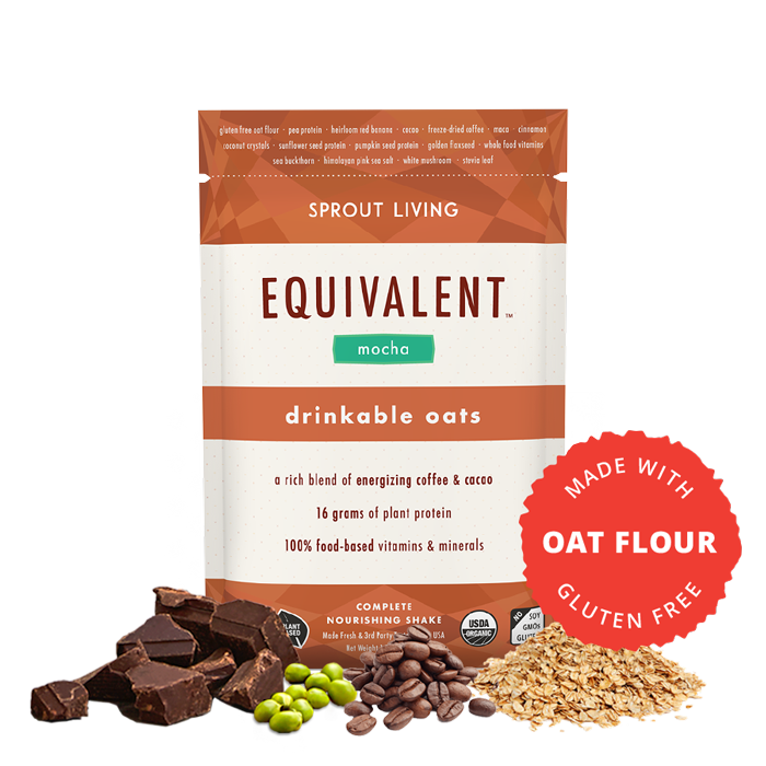 Drinkable Oats – Equivalent Foods